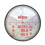 Reticle-Day